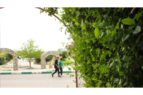 اسلایدشو